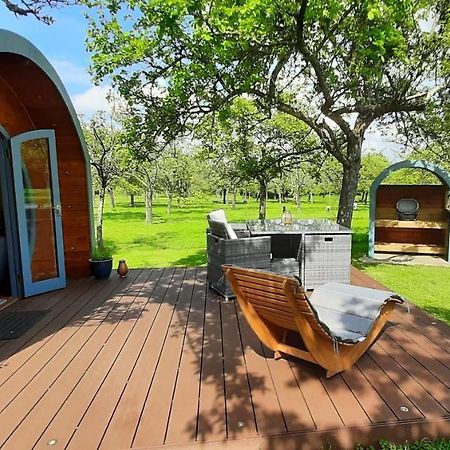 Orchard Farm Luxury Glamping And Campsite Glastonbury Dış mekan fotoğraf