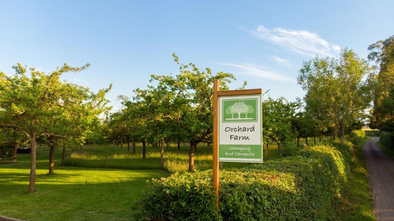 Orchard Farm Luxury Glamping And Campsite Glastonbury Dış mekan fotoğraf