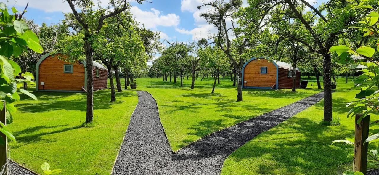 Orchard Farm Luxury Glamping And Campsite Glastonbury Dış mekan fotoğraf