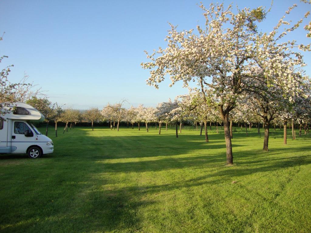 Orchard Farm Luxury Glamping And Campsite Glastonbury Dış mekan fotoğraf